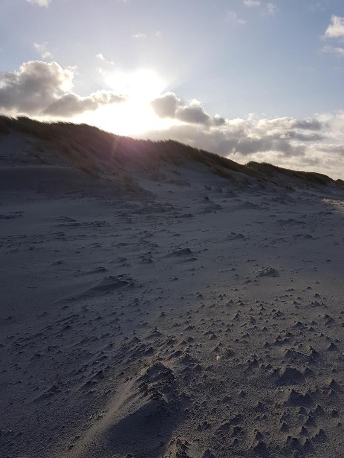 Sonnenstrahl Im Kuestenwald Gelbensande Eksteriør bilde