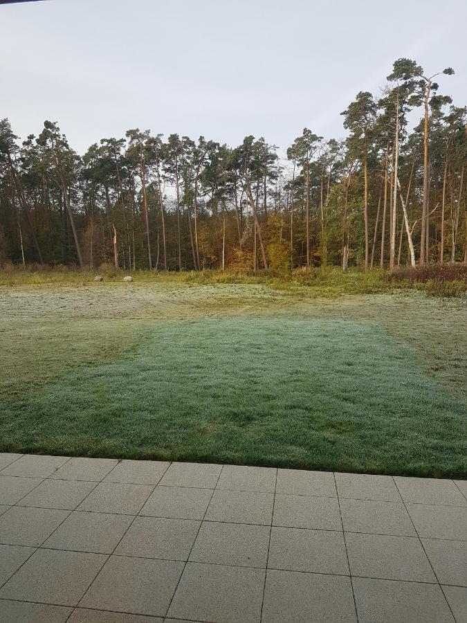 Sonnenstrahl Im Kuestenwald Gelbensande Eksteriør bilde