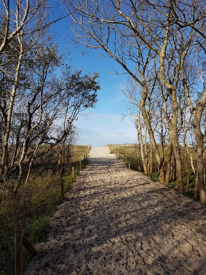 Sonnenstrahl Im Kuestenwald Gelbensande Eksteriør bilde